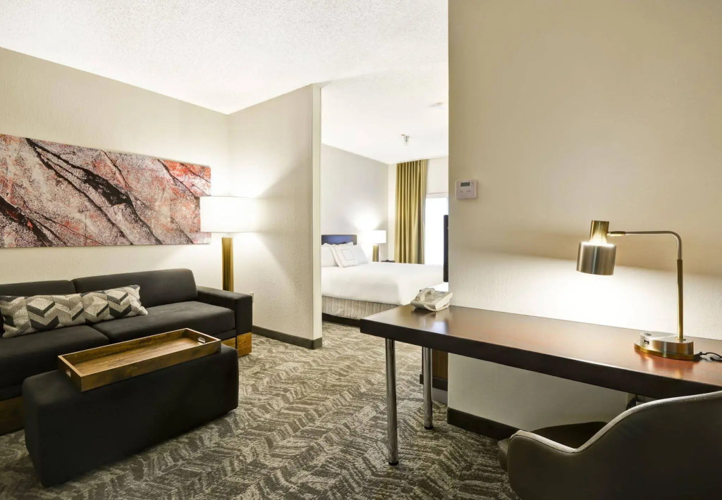 SpringHill Suites by Marriott San Antonio Medical Center/NW - Général