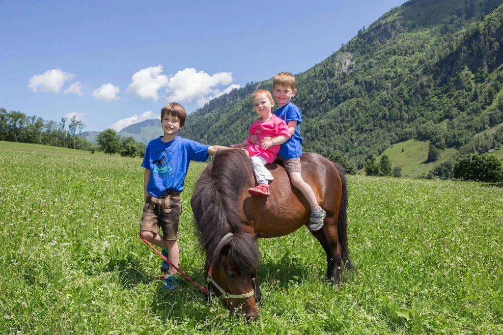 Feriendorf Ponyhof - Général