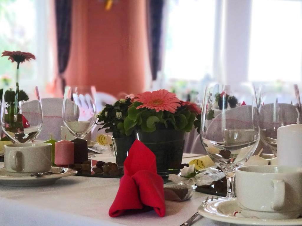 Hotel Haus Hainstein - Général