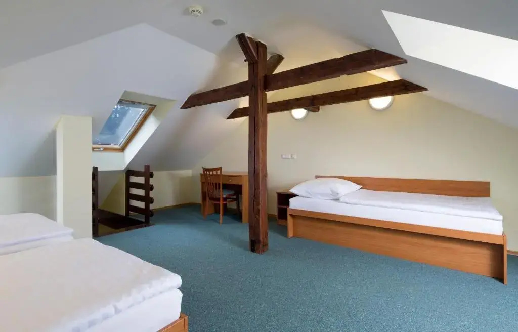 Spa Resort Libverda - Hotel Lesni Zatisi - Chambres