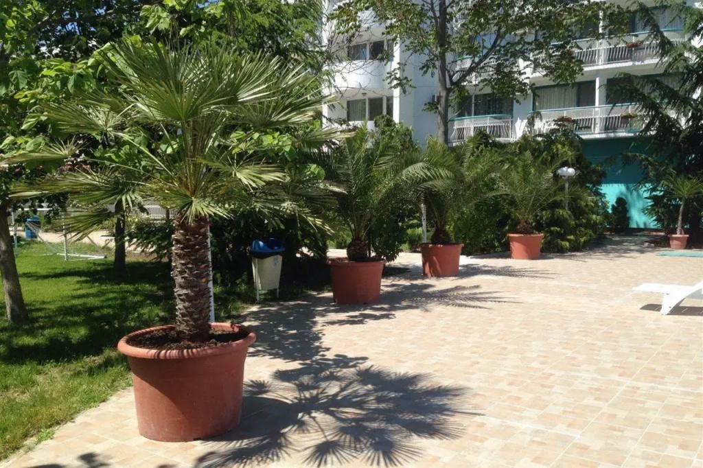 Hotel photo 41