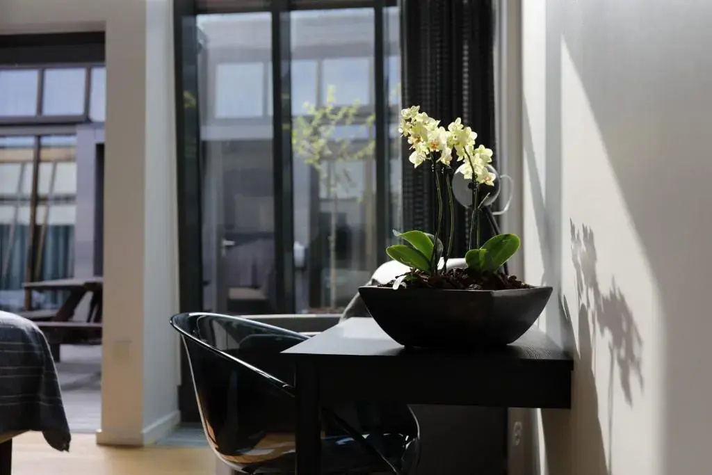 Idraettens Hus Hotel & konference - Chambres