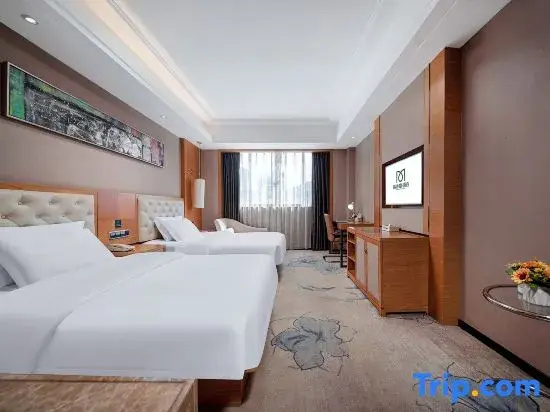 Jin-Tone 101 Hotel Nanning - Chambres