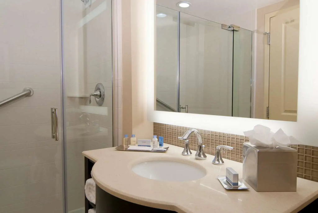 DoubleTree by Hilton Sterling - Dulles Airport - Chambres