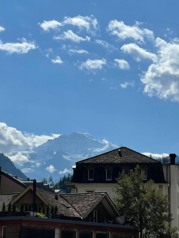Center Appartement Interlaken