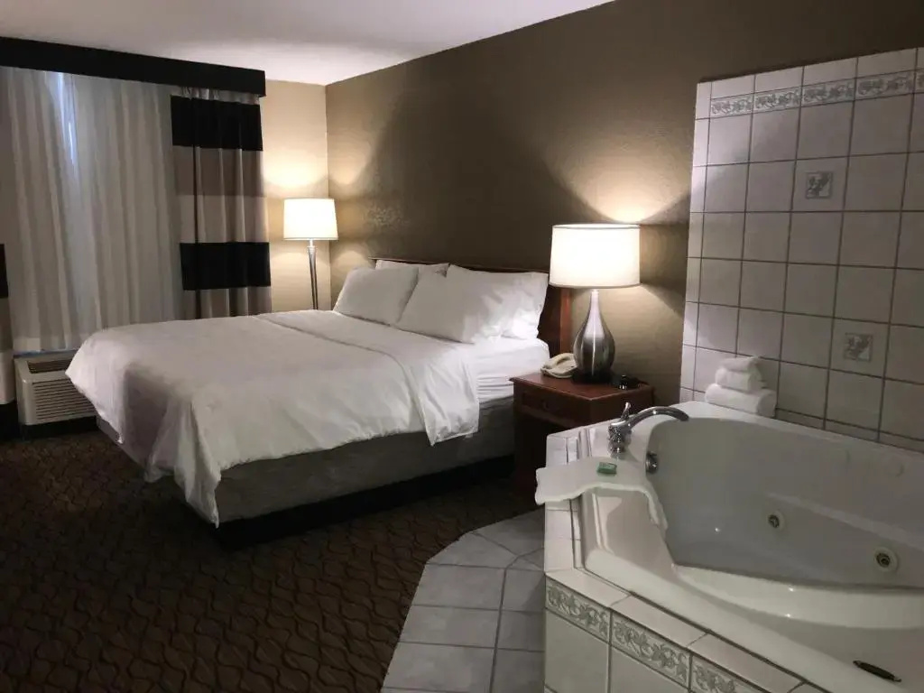 Holiday Inn Alexandria by IHG - Chambres
