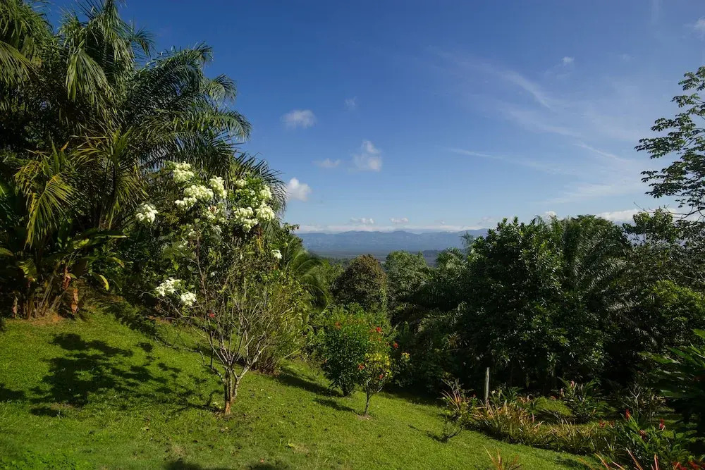 Hotel El Mirador Osa - фото 8