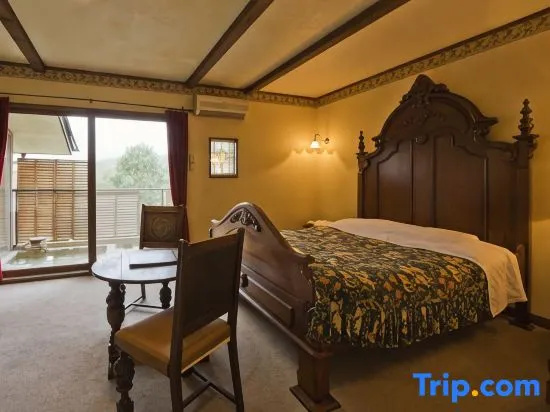 Standard Double room with mountain view (full double bed)