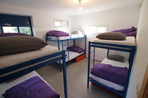 Golan Heights Hostel, Odem Image 32