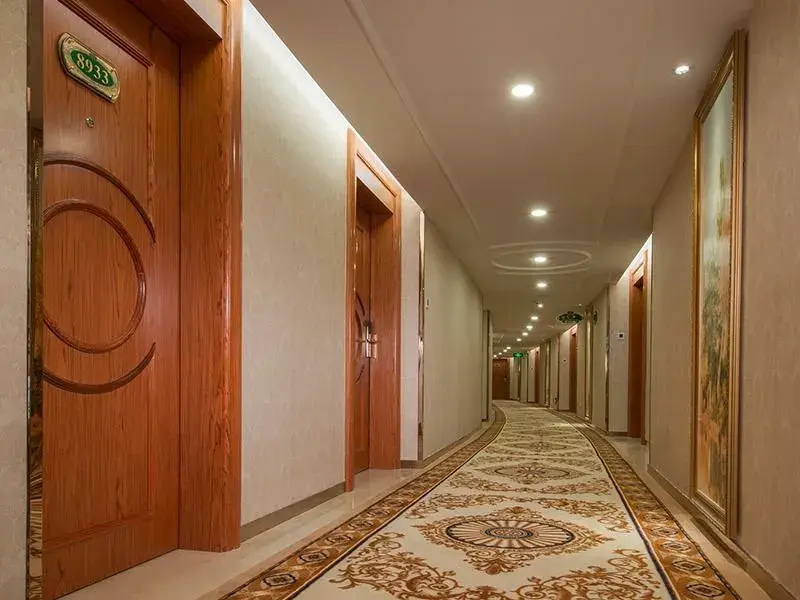 Vienna Hotel Mix City - Général