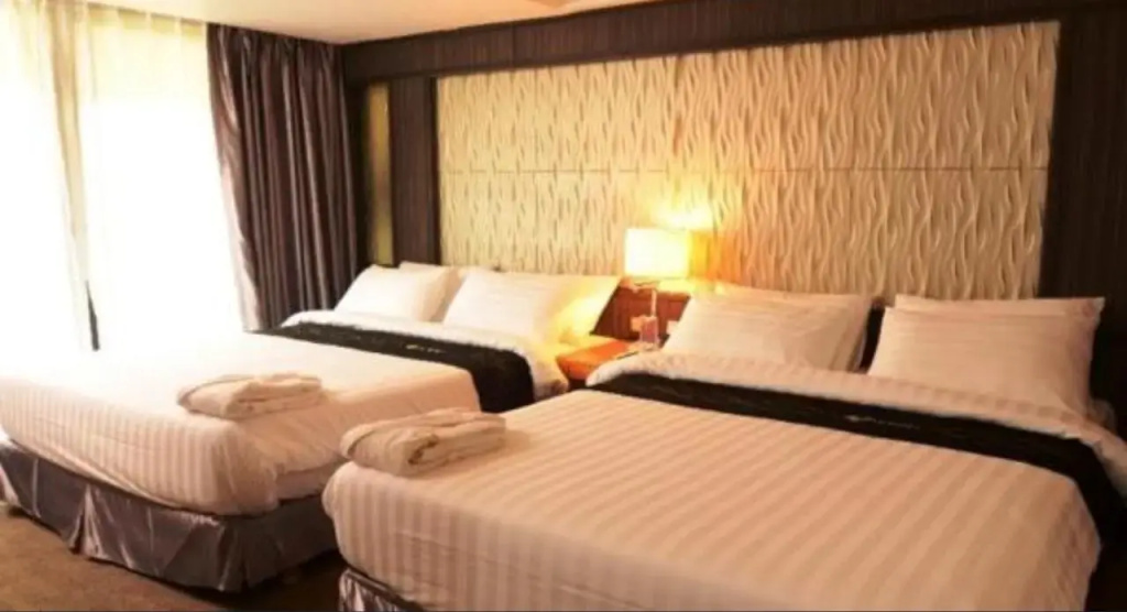Deluxe Double room with park view (twin beds)