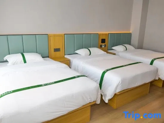 GreenTree Alliance SuZhou Industrial Park DLHET LianFeng Plaza Hotel - Chambres