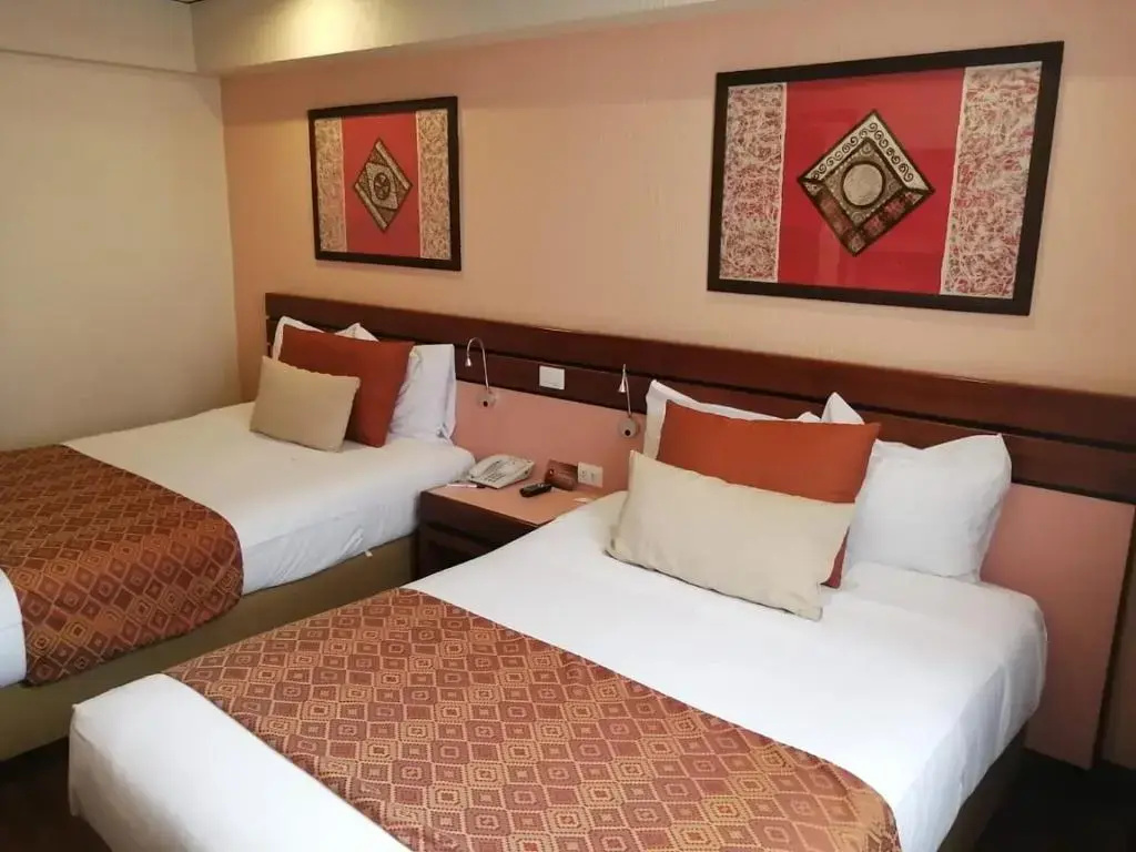 Standard Double room (twin beds)