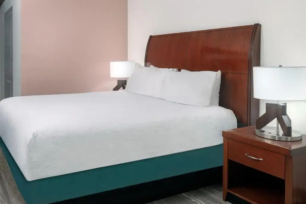 Hilton Garden Inn Tampa/Riverview/Brandon - Chambres