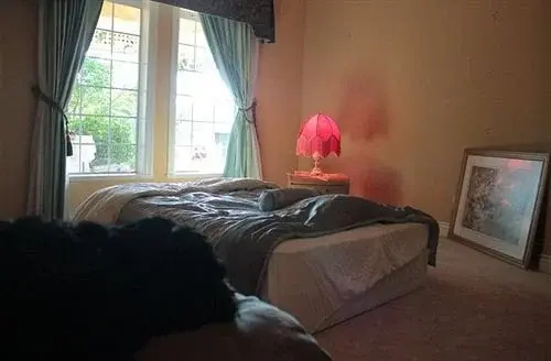 Flavorite Retreat B&B