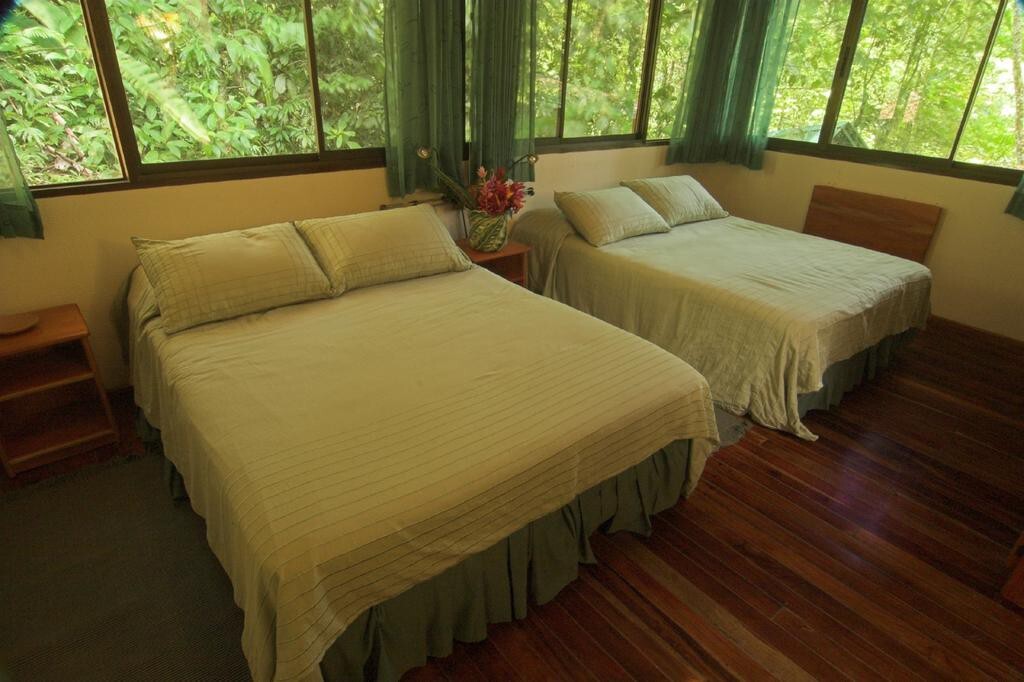 Selva Verde Lodge picture