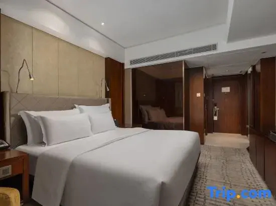 Standard Double room with city view (full double bed)