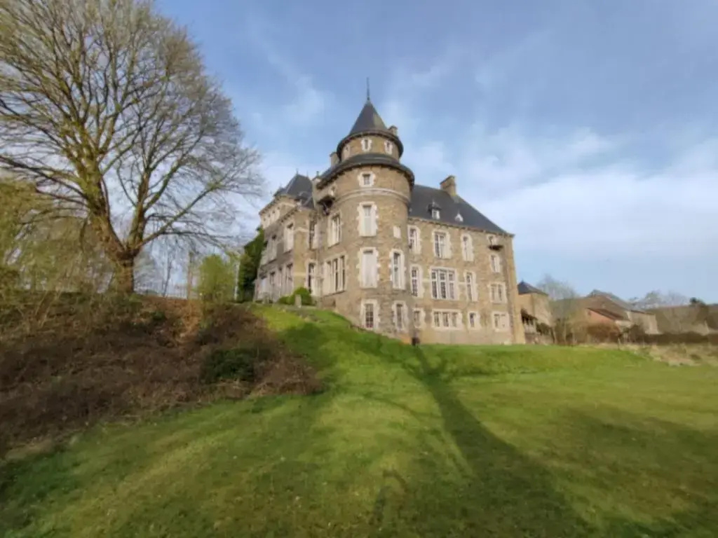 Grand Chateau de Blier - фото 5