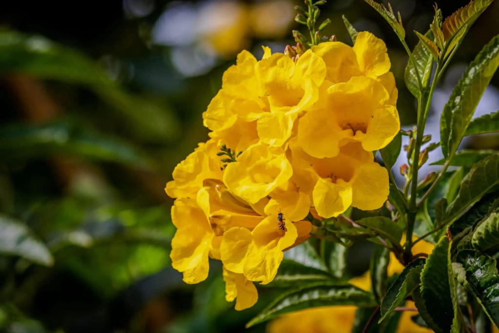 Silver Beach Boutique Hotel - фото 45