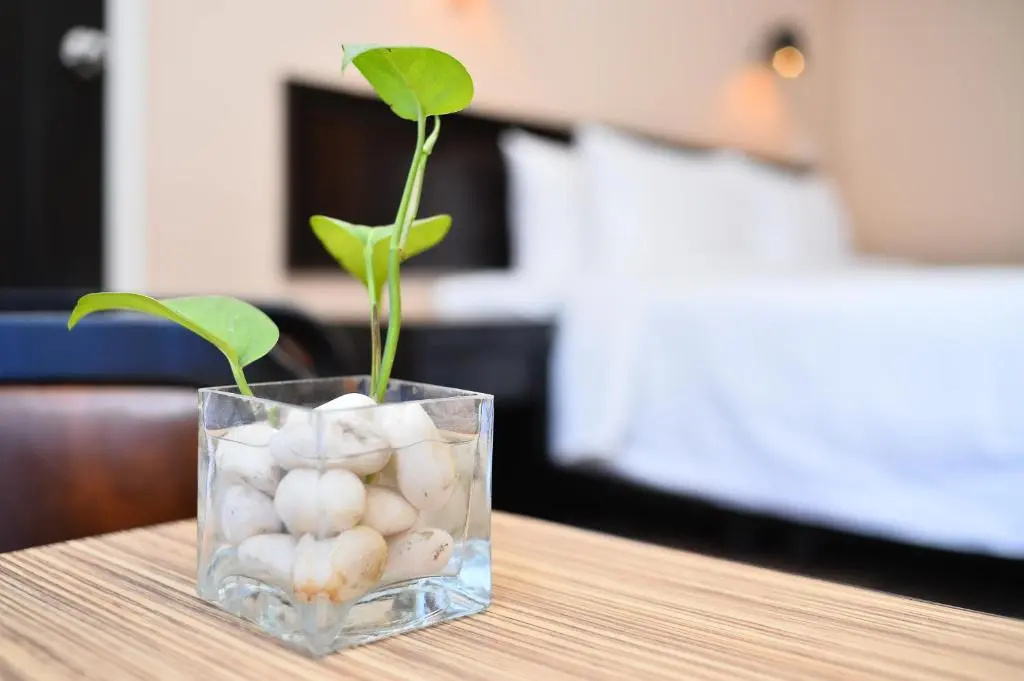 Superior Double room (full double bed)