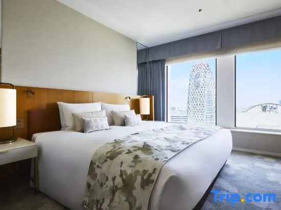 Keio Plaza Hotel Tokyo Premier Grand 사진 1