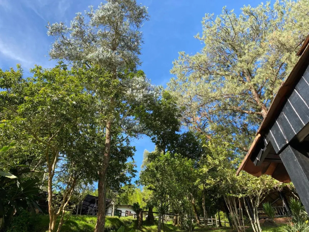 Finca Hotel Santo Tomas Real