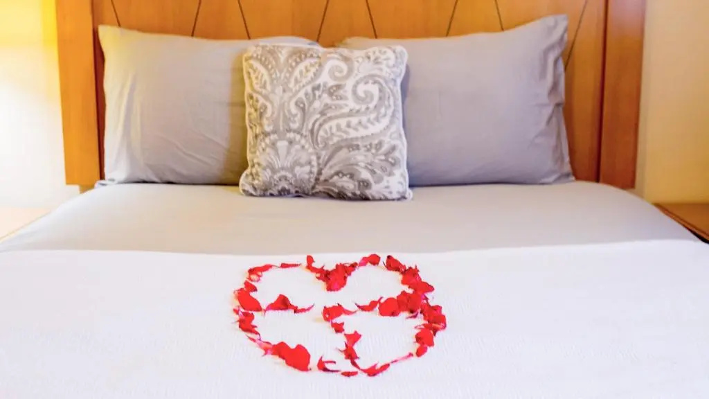Jam Lodge Hotel & Suites - Chambres