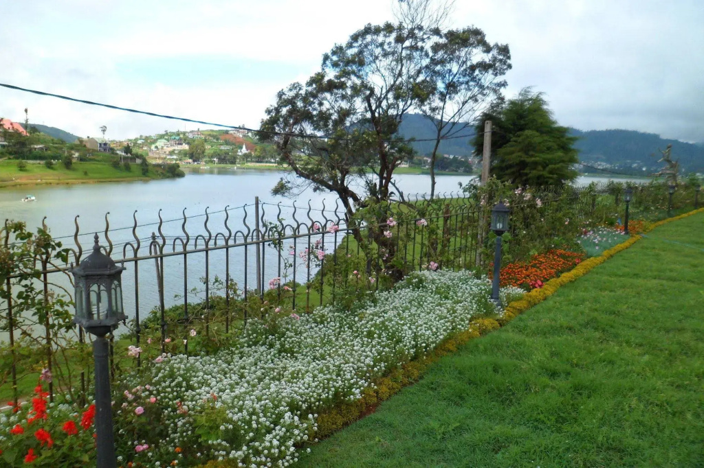 Tea Plant Nuwara Eliya - Général
