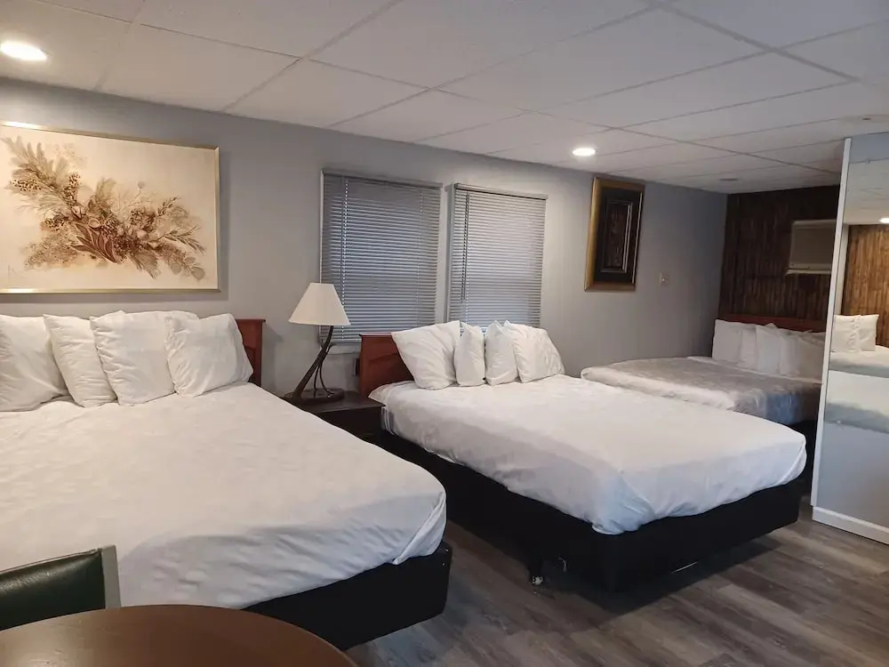 Luxury Suite