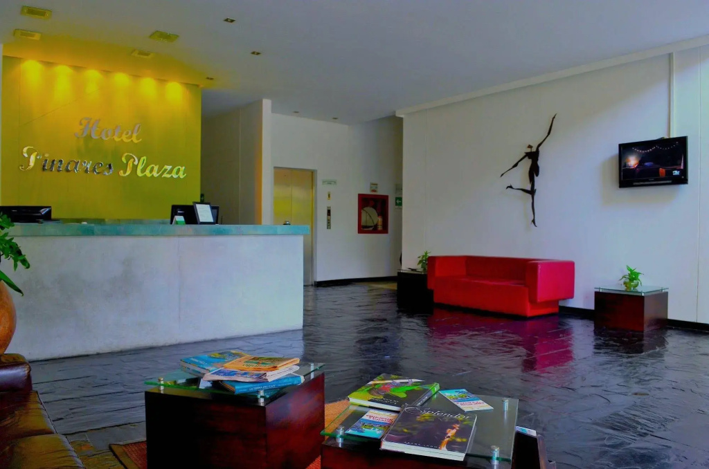 Hotel Pinares Plaza - Général