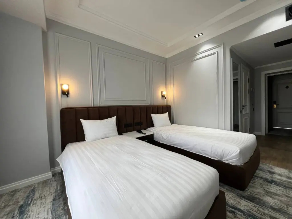 Deluxe Double room (twin beds)