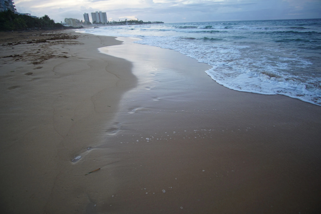 Image 15