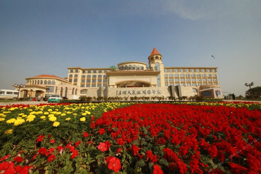 Hengshui Taihua Boyue Hotel in Hengshui