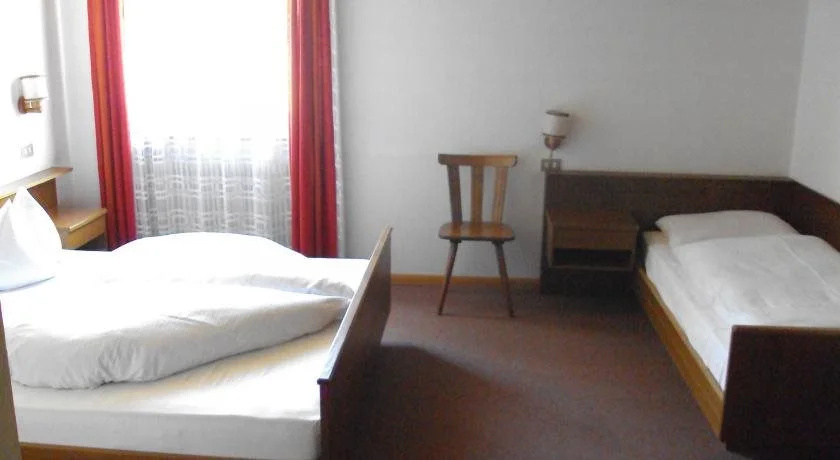 Hotel Des Alpes - Général