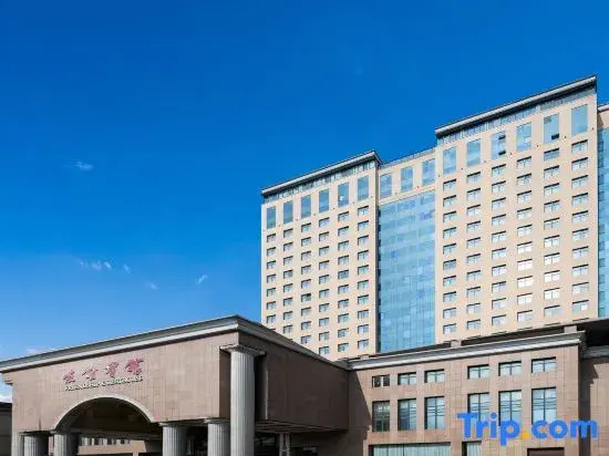 Luoyang Friendship Hotel (Peony Square Metro Station)