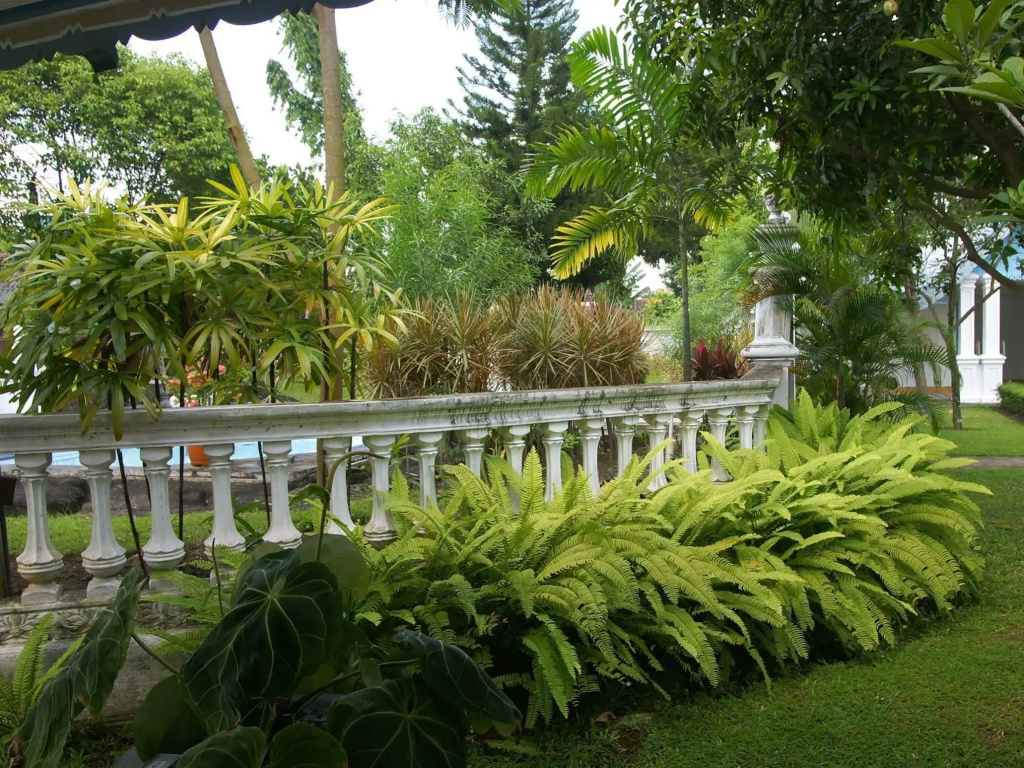 nDalem Ngabean Bungalow Yogyakarta