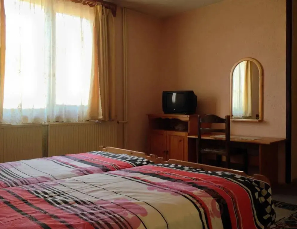 Family Hotel Santo Bansko - Général