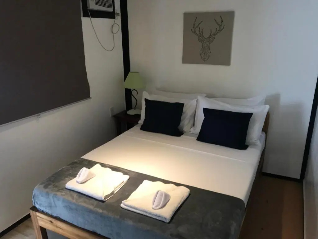 Standard Double room with mountain view (full double bed)
