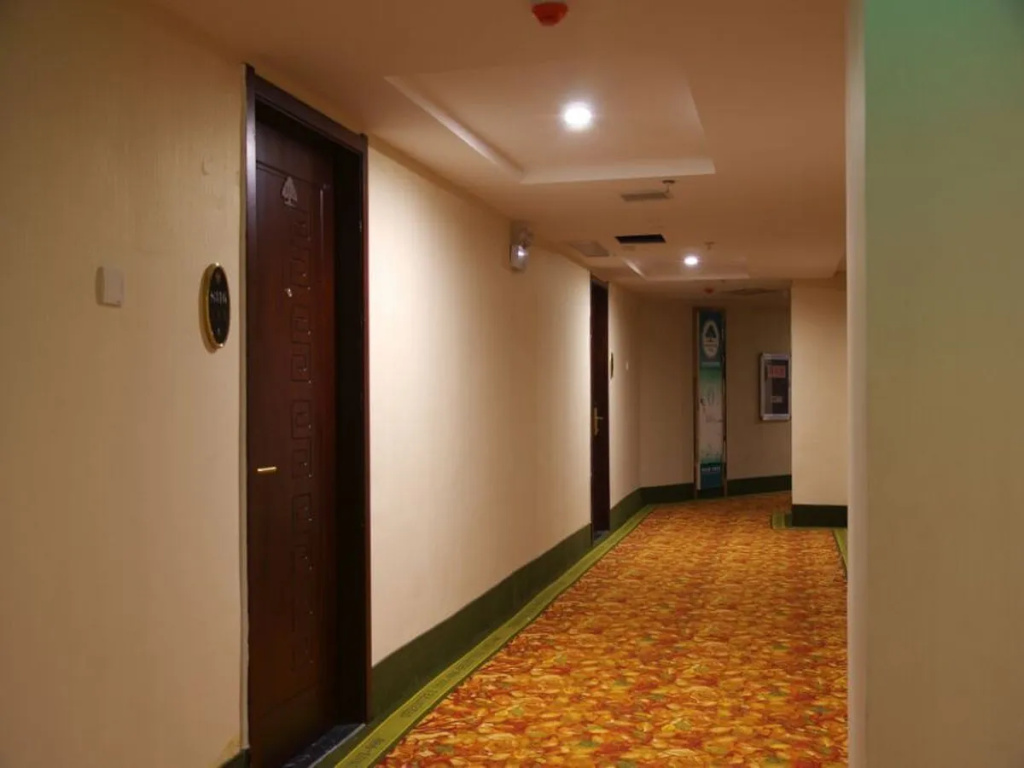 GreenTree Alliance Anhui Chuzhou Middle Qingliu Road Qingliu Bridge Hotel - Général