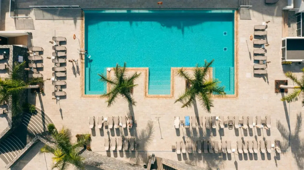 Marinell Collection Palm-Mar