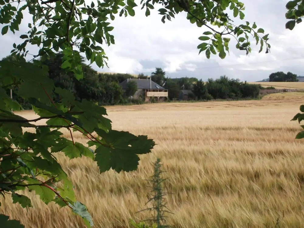 The Granary - Général