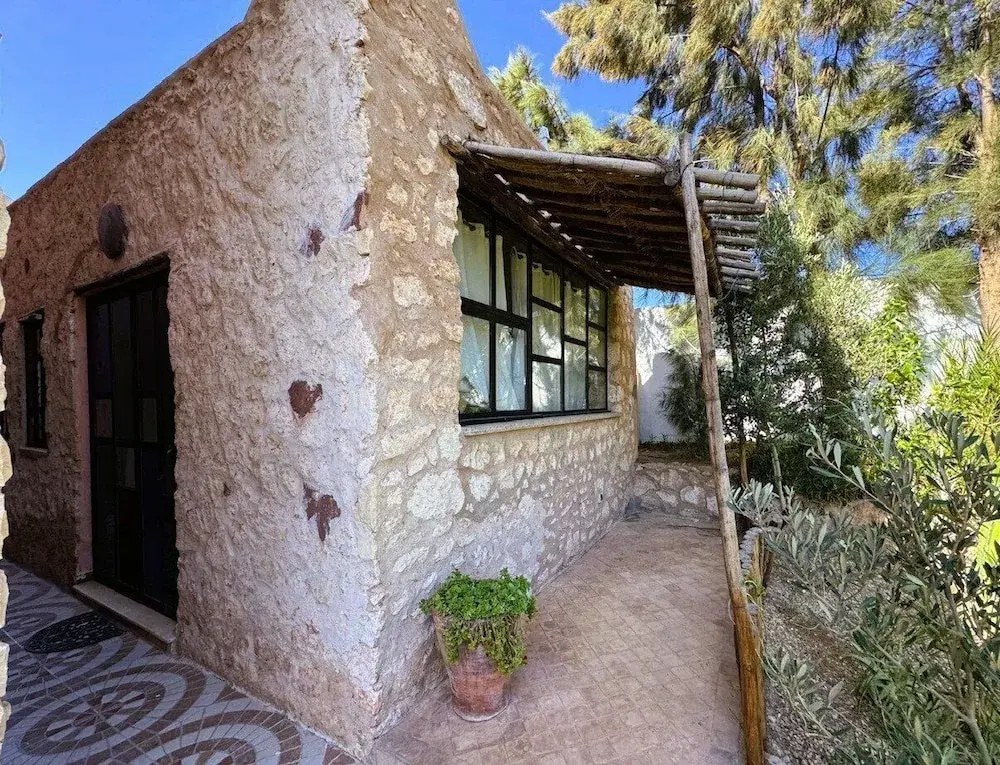 Dar mimosa