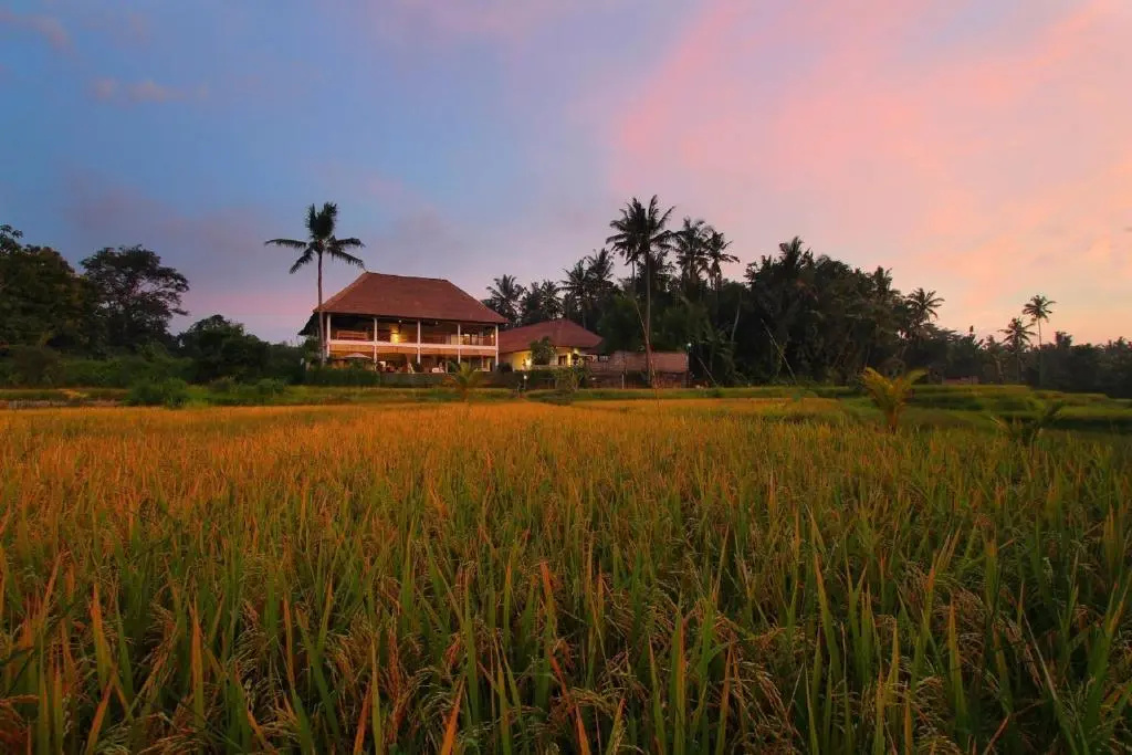 Frangipani Villas - Général