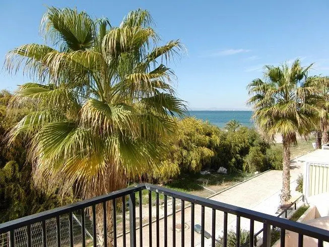 Marco Polo Aptos