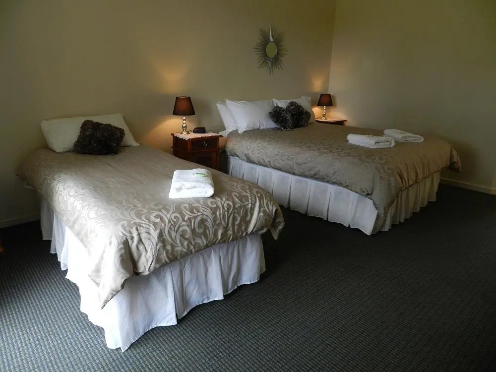 Deluxe Double room (full double bed)