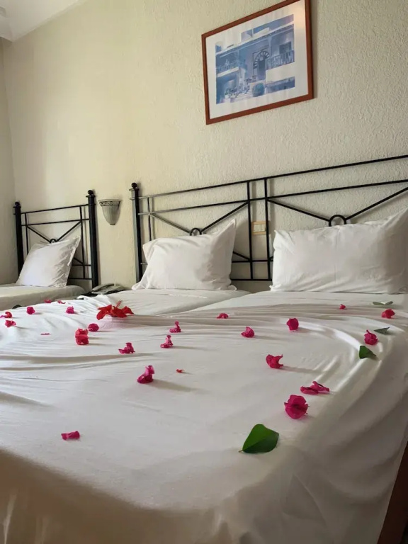 Sol Palmeras Beach - Family Hotel - Chambres