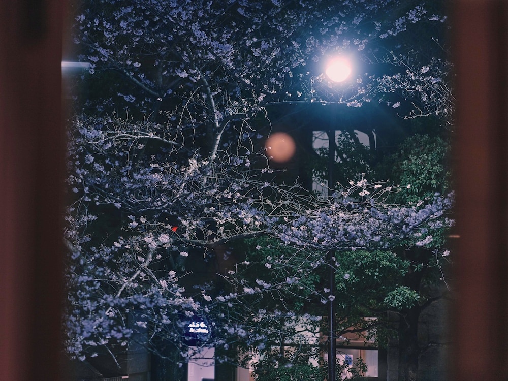 illi Toas Tokyo-Toranomon 사진 20