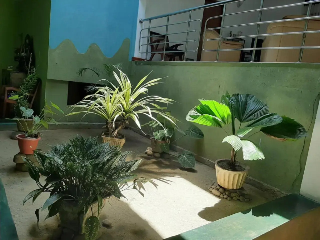 Hotel photo 45