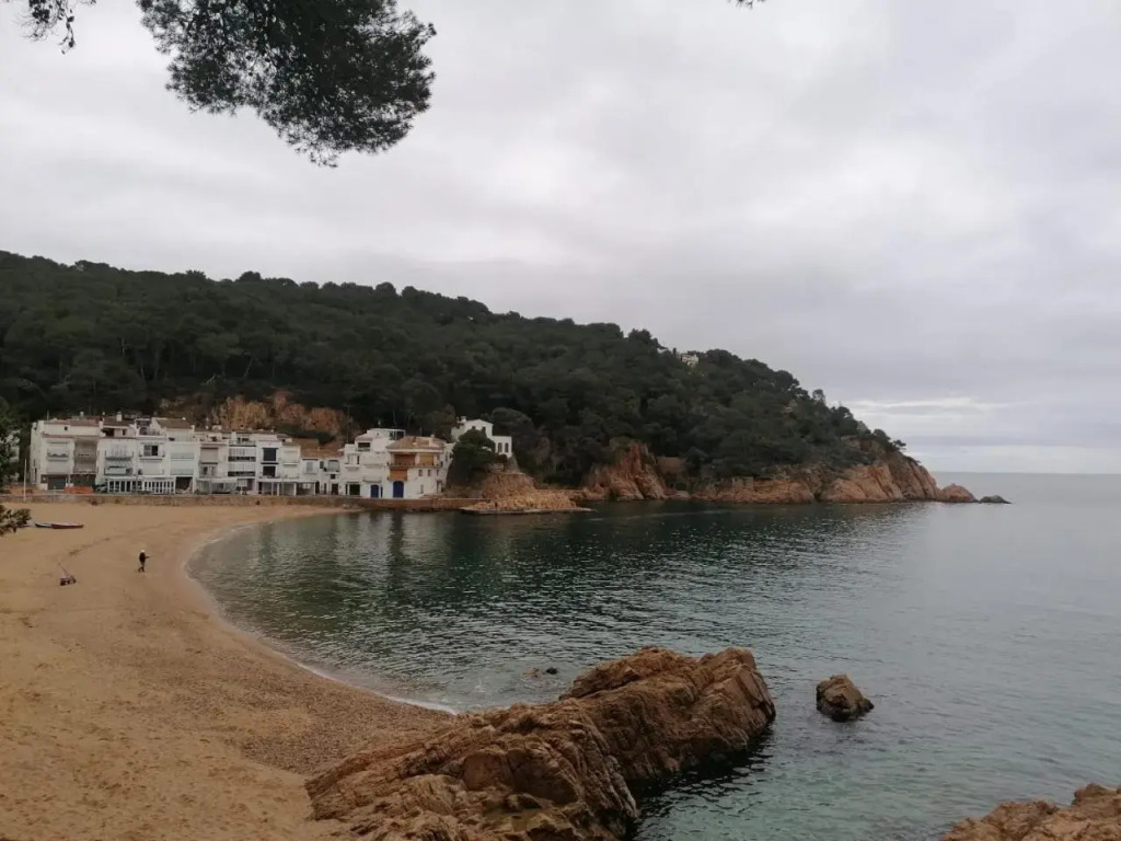 Hotel Tamariu by null