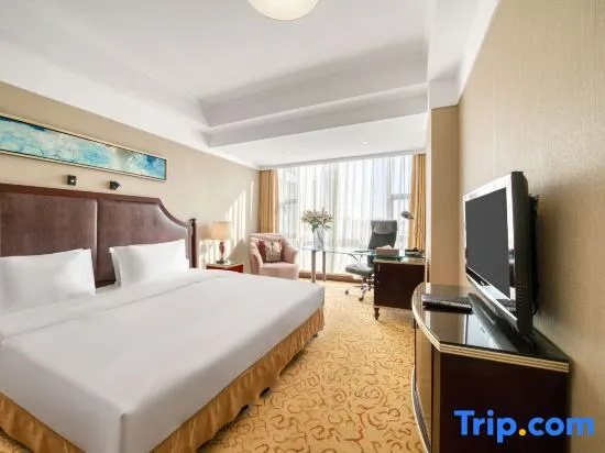 Qingdao Grand Hoya Hotel - Chambres